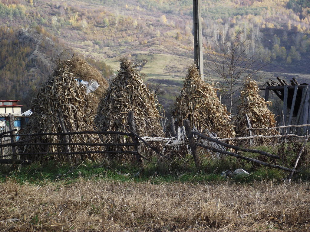 Pensiunea Valea Lupului Valea Lupului  Εξωτερικό φωτογραφία