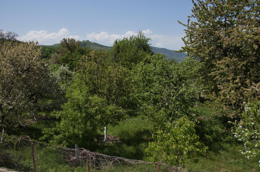 Pensiunea Valea Lupului Valea Lupului  Εξωτερικό φωτογραφία